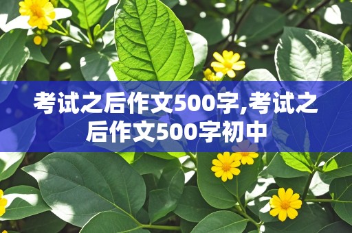 考试之后作文500字,考试之后作文500字初中