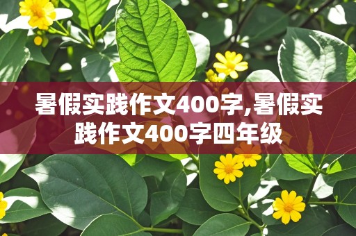 暑假实践作文400字,暑假实践作文400字四年级