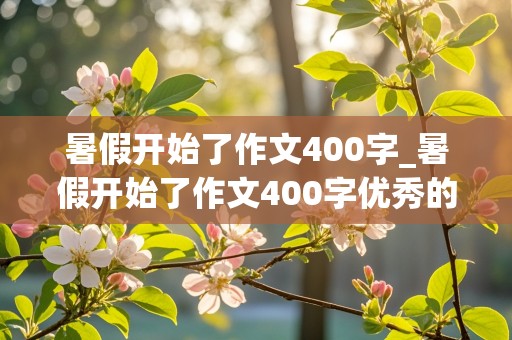 暑假开始了作文400字_暑假开始了作文400字优秀的