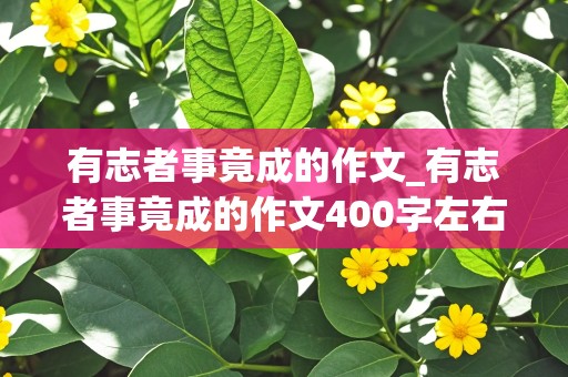 有志者事竟成的作文_有志者事竟成的作文400字左右