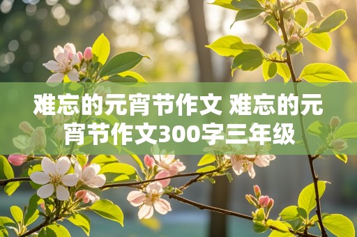 难忘的元宵节作文 难忘的元宵节作文300字三年级