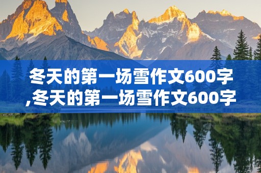 冬天的第一场雪作文600字,冬天的第一场雪作文600字初中