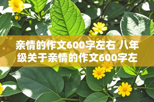 亲情的作文600字左右 八年级关于亲情的作文600字左右