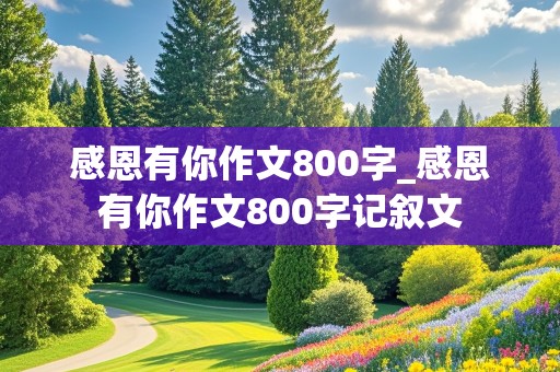 感恩有你作文800字_感恩有你作文800字记叙文