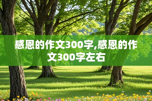 感恩的作文300字,感恩的作文300字左右