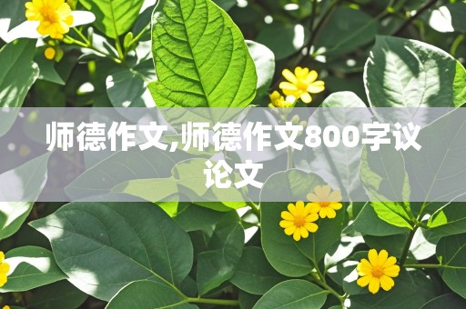 师德作文,师德作文800字议论文