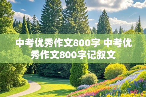 中考优秀作文800字 中考优秀作文800字记叙文