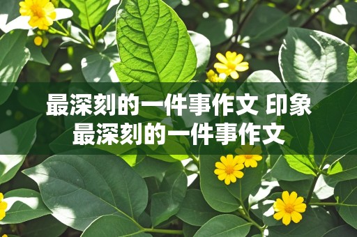 最深刻的一件事作文 印象最深刻的一件事作文