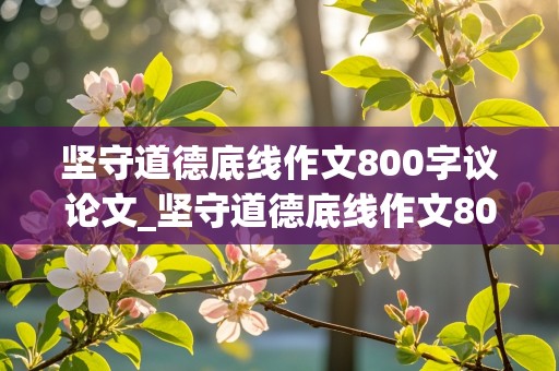 坚守道德底线作文800字议论文_坚守道德底线作文800字议论文高中