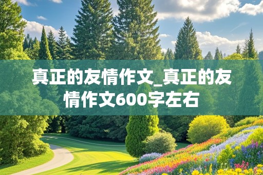 真正的友情作文_真正的友情作文600字左右