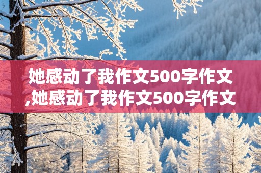 她感动了我作文500字作文,她感动了我作文500字作文 写母亲