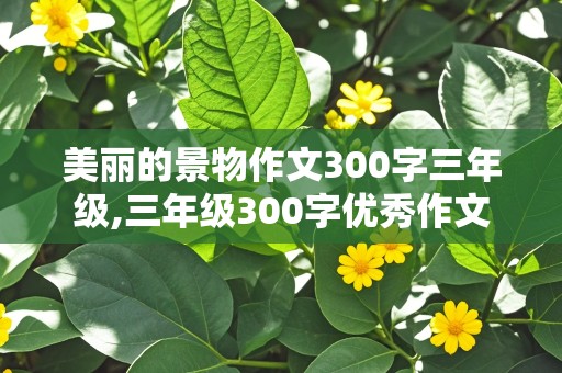 美丽的景物作文300字三年级,三年级300字优秀作文