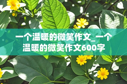 一个温暖的微笑作文_一个温暖的微笑作文600字