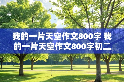 我的一片天空作文800字 我的一片天空作文800字初二