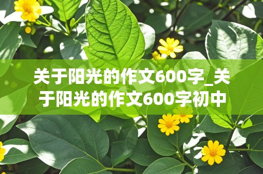 关于阳光的作文600字_关于阳光的作文600字初中