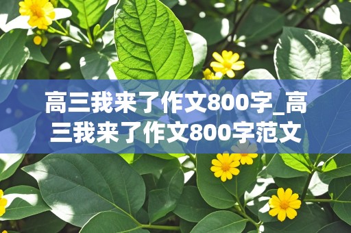 高三我来了作文800字_高三我来了作文800字范文