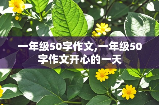 一年级50字作文,一年级50字作文开心的一天