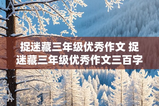 捉迷藏三年级优秀作文 捉迷藏三年级优秀作文三百字