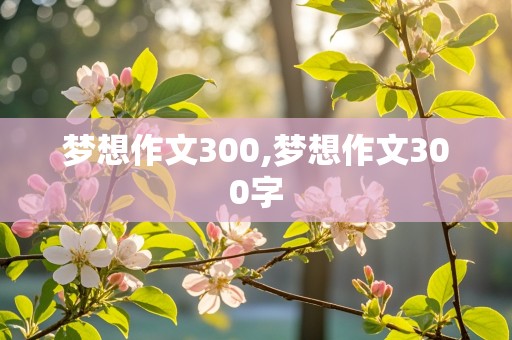 梦想作文300,梦想作文300字