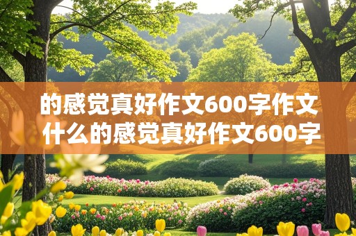 的感觉真好作文600字作文 什么的感觉真好作文600字作文