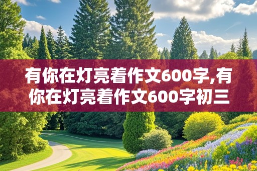 有你在灯亮着作文600字,有你在灯亮着作文600字初三