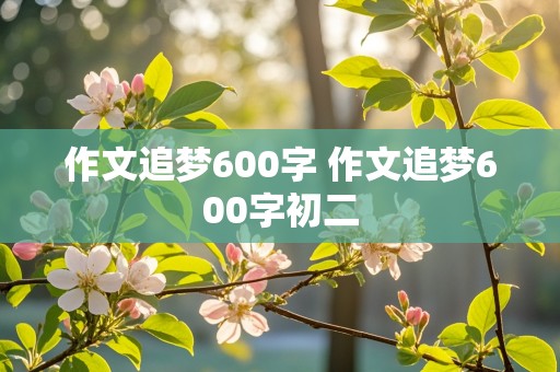 作文追梦600字 作文追梦600字初二