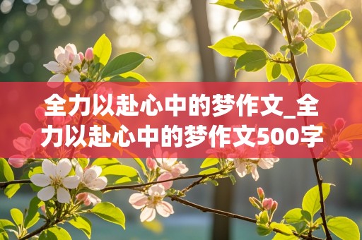 全力以赴心中的梦作文_全力以赴心中的梦作文500字