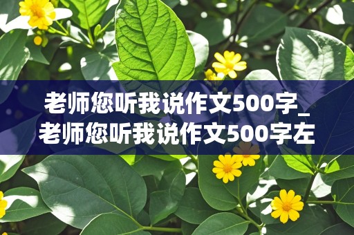 老师您听我说作文500字_老师您听我说作文500字左右