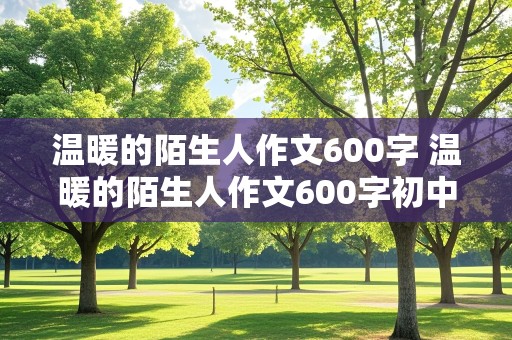 温暖的陌生人作文600字 温暖的陌生人作文600字初中