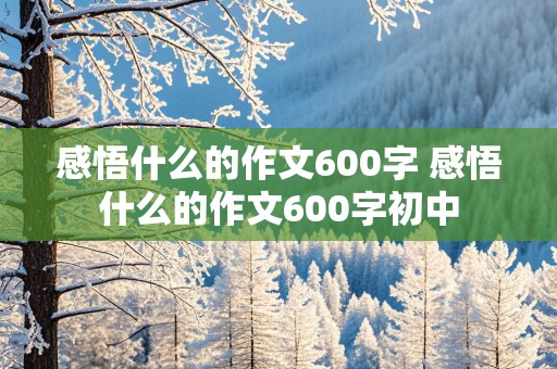 感悟什么的作文600字 感悟什么的作文600字初中