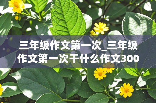 三年级作文第一次_三年级作文第一次干什么作文300字