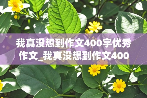 我真没想到作文400字优秀作文_我真没想到作文400字优秀作文四年级