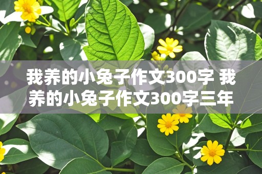 我养的小兔子作文300字 我养的小兔子作文300字三年级上册