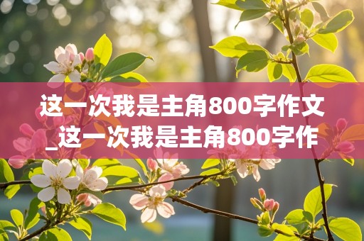 这一次我是主角800字作文_这一次我是主角800字作文记叙文