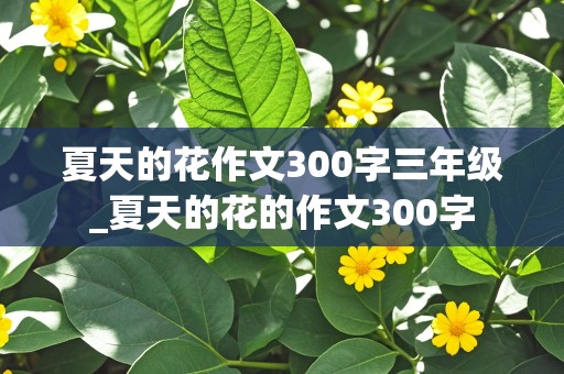 夏天的花作文300字三年级_夏天的花的作文300字