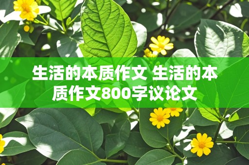 生活的本质作文 生活的本质作文800字议论文