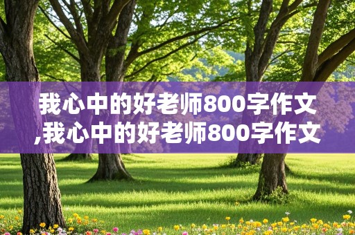 我心中的好老师800字作文,我心中的好老师800字作文怎么写