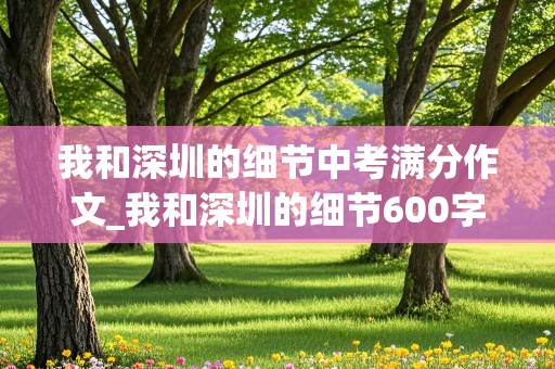 我和深圳的细节中考满分作文_我和深圳的细节600字