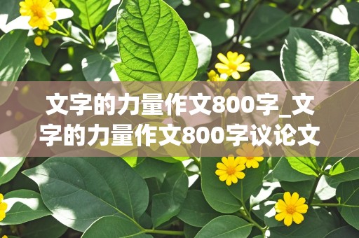 文字的力量作文800字_文字的力量作文800字议论文