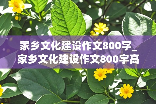 家乡文化建设作文800字_家乡文化建设作文800字高一