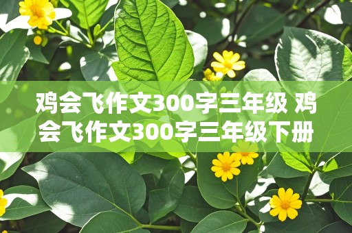 鸡会飞作文300字三年级 鸡会飞作文300字三年级下册怎么写