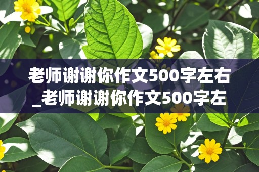 老师谢谢你作文500字左右_老师谢谢你作文500字左右六年级