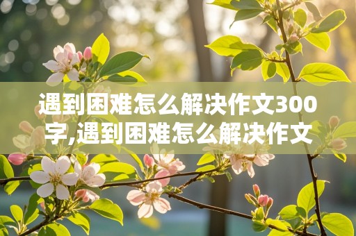 遇到困难怎么解决作文300字,遇到困难怎么解决作文300字