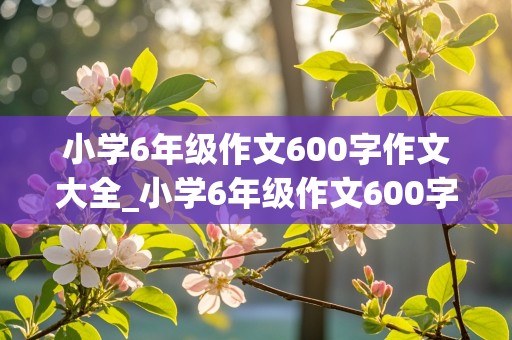 小学6年级作文600字作文大全_小学6年级作文600字作文大全变形计