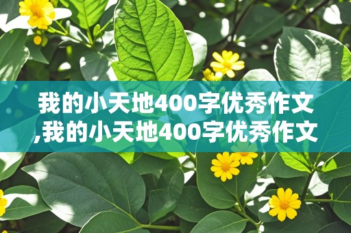 我的小天地400字优秀作文,我的小天地400字优秀作文初二