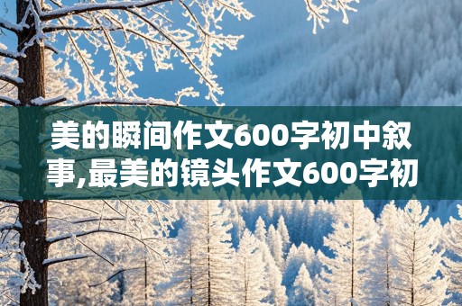 美的瞬间作文600字初中叙事,最美的镜头作文600字初一