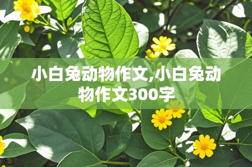 小白兔动物作文,小白兔动物作文300字