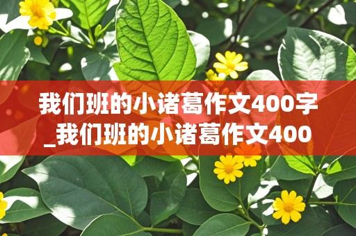 我们班的小诸葛作文400字_我们班的小诸葛作文400字左右