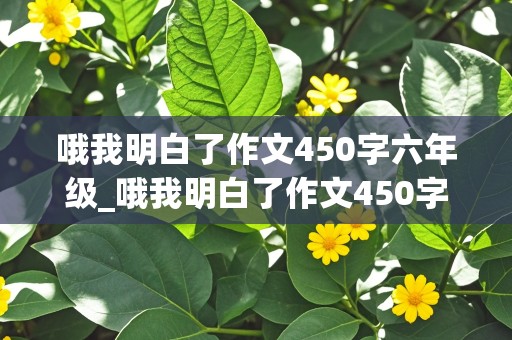 哦我明白了作文450字六年级_哦我明白了作文450字六年级下册