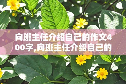 向班主任介绍自己的作文400字,向班主任介绍自己的作文400字怎么写